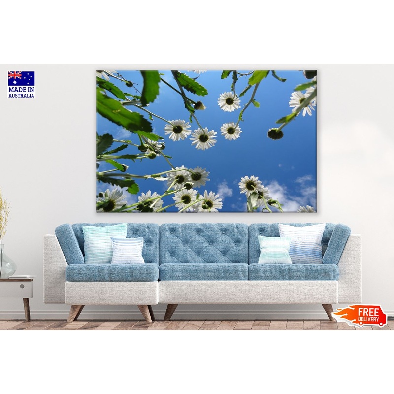 White Daisy with Tree Under Blue Sky Photograph Print 100% Australian Made