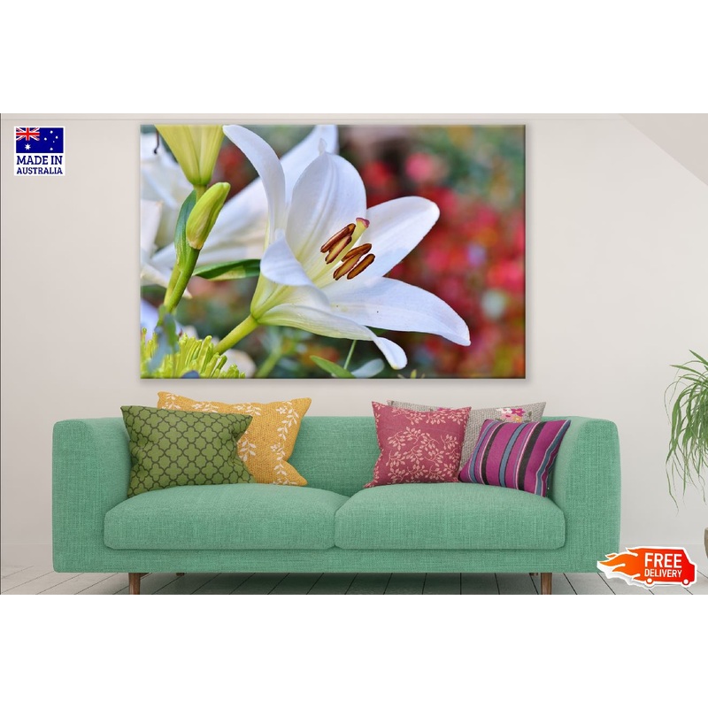 White Lily Flower Closeup Photograph Print 100% Australian Made