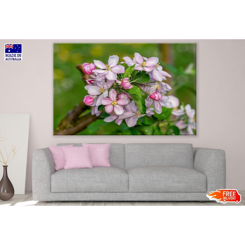 White & Pink Applr Blossom Flowers Photograph Print 100% Australian Made