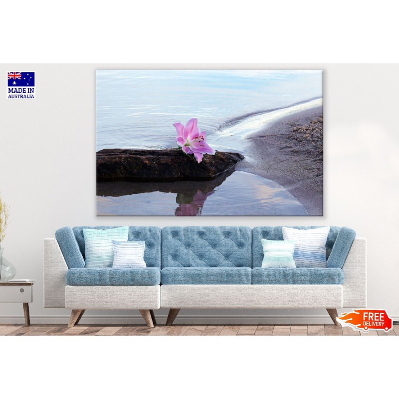 White & Pink Lily Flower on Sea Shore Photograph Print 100% Australian Made
