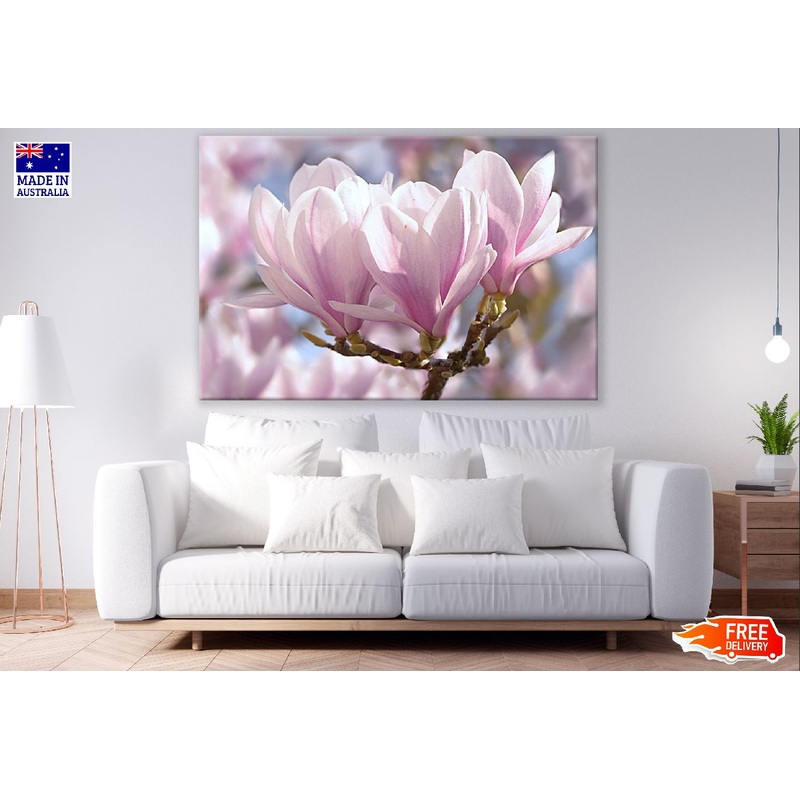 White Pink Magnolia Flowers Closeup Photograph Print 100% Australian Made