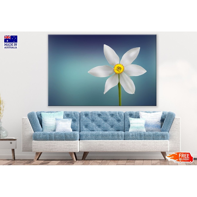 White Purity Flower Closeup Photograph Print 100% Australian Made
