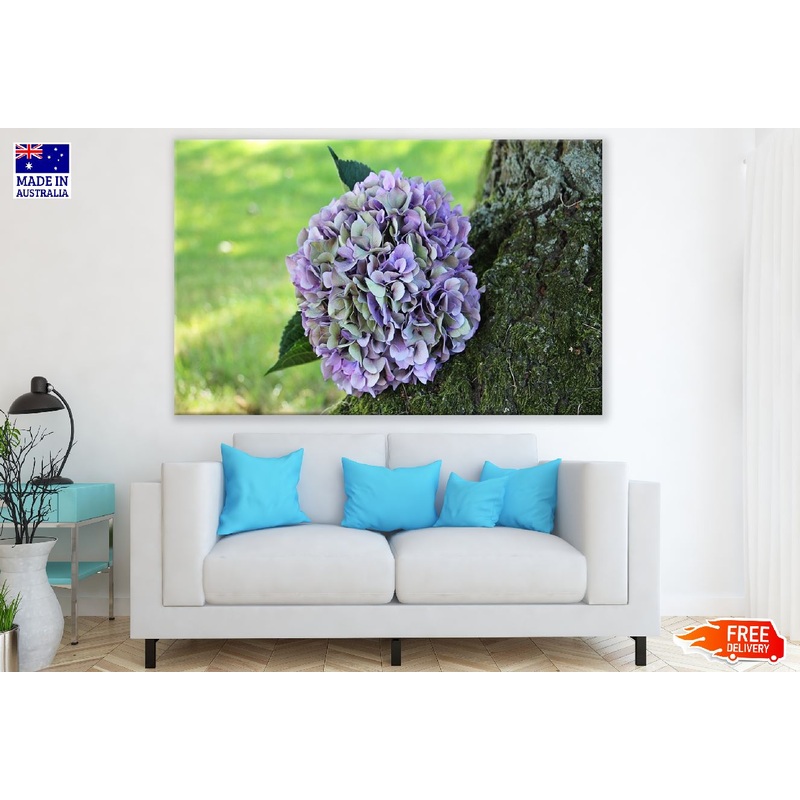White & Purple Hydrangea Flower Closeup Photograph Print 100% Australian Made