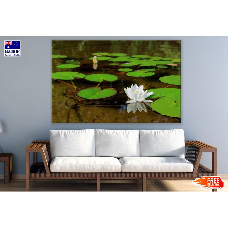 White Water Lily Flower Photograph Print 100% Australian Made