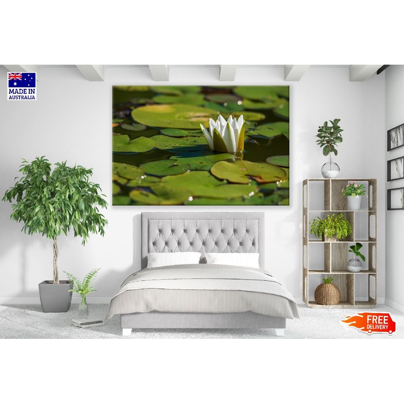 White Water Lily Flower Plant on Water Photograph Print 100% Australian Made