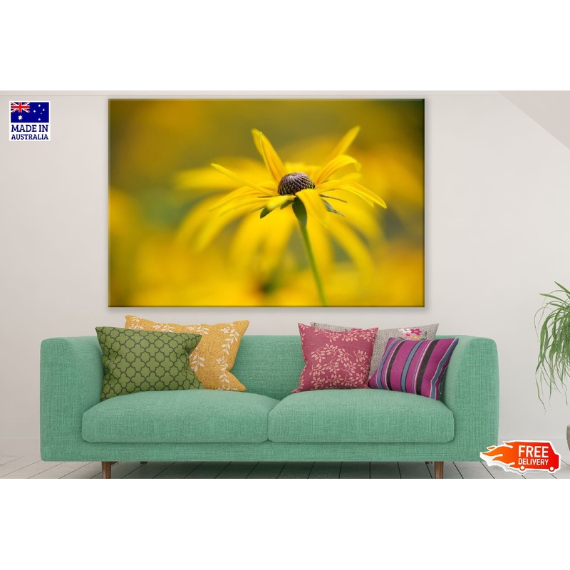 Yellow Coneflower Closeup Photograph Print 100% Australian Made