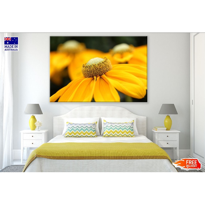 Yellow Coneflowers Flower Closeup Photograph Print 100% Australian Made