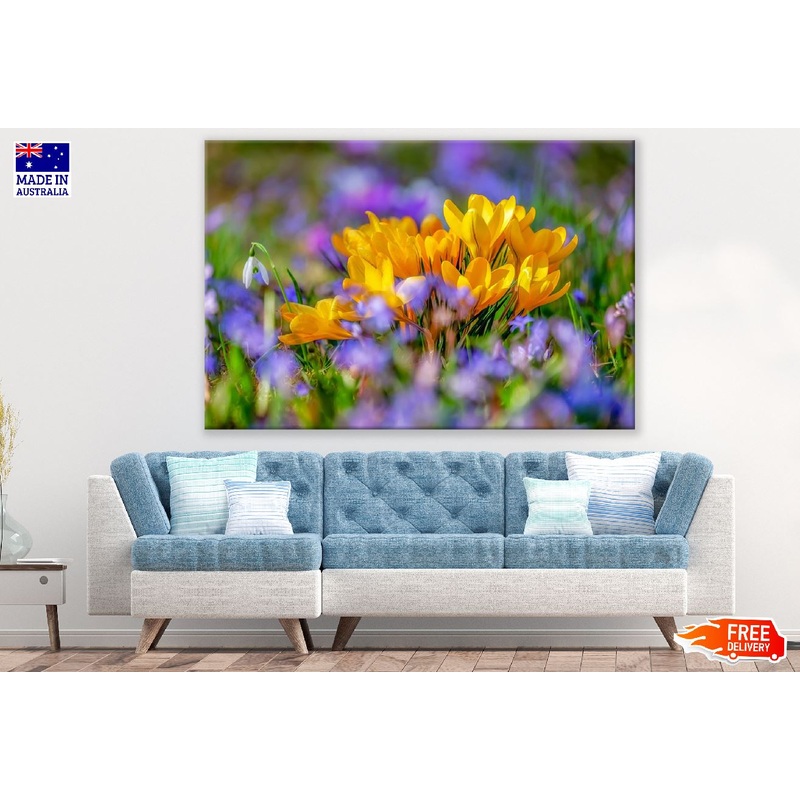 Yellow Crocus Flowers Closeup Photograph Print 100% Australian Made