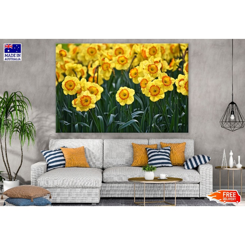 Yellow Daffodils Flowers Field Photograph Print 100% Australian Made
