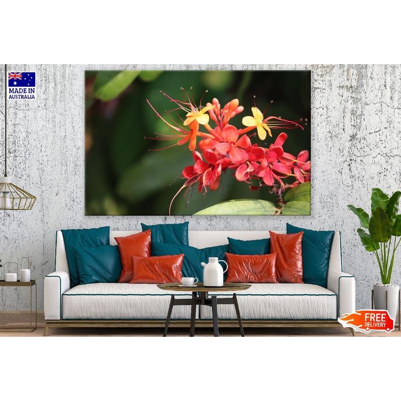 Yellow & Red Small Flowers Closeup Photograph Print 100% Australian Made