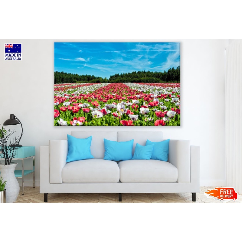 White and Red Flower Field Photograph Print 100% Australian Made