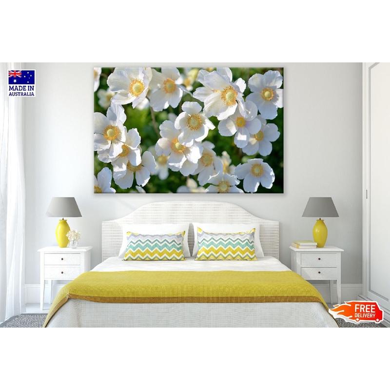 White Anemones Flowers Photograph Print 100% Australian Made