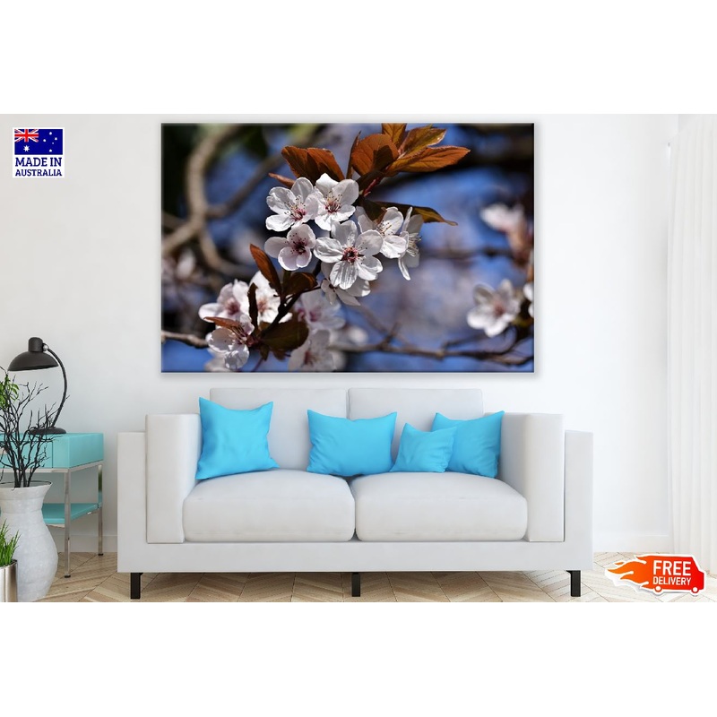White Cherry Flowers Closeup Photograph Print 100% Australian Made