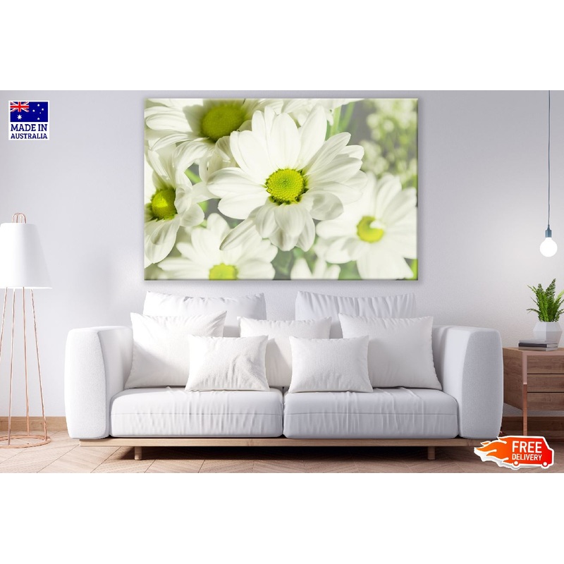 White chrysanthemum Flowers Photograph Print 100% Australian Made