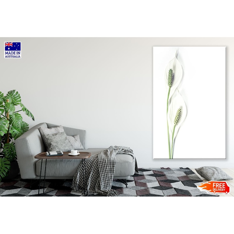 White Lilies Closeup Photograph Print 100% Australian Made