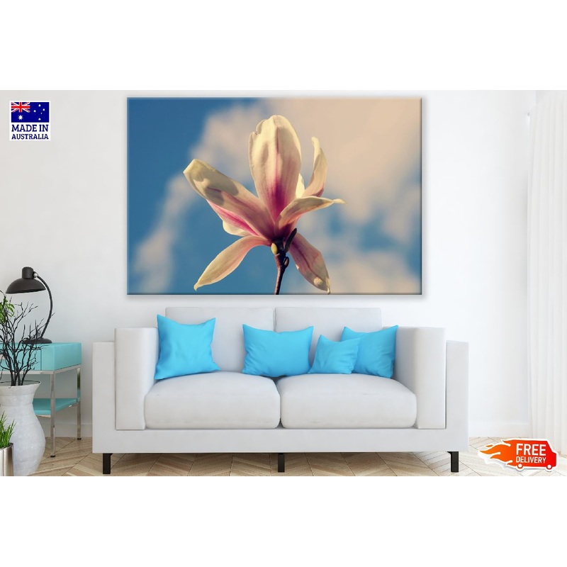 White Magnolia Flower Closeup Photograph Print 100% Australian Made
