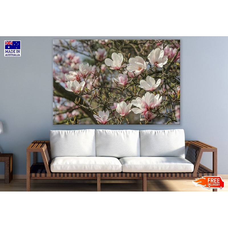 White Magnolia Flower with Branch Photograph Print 100% Australian Made