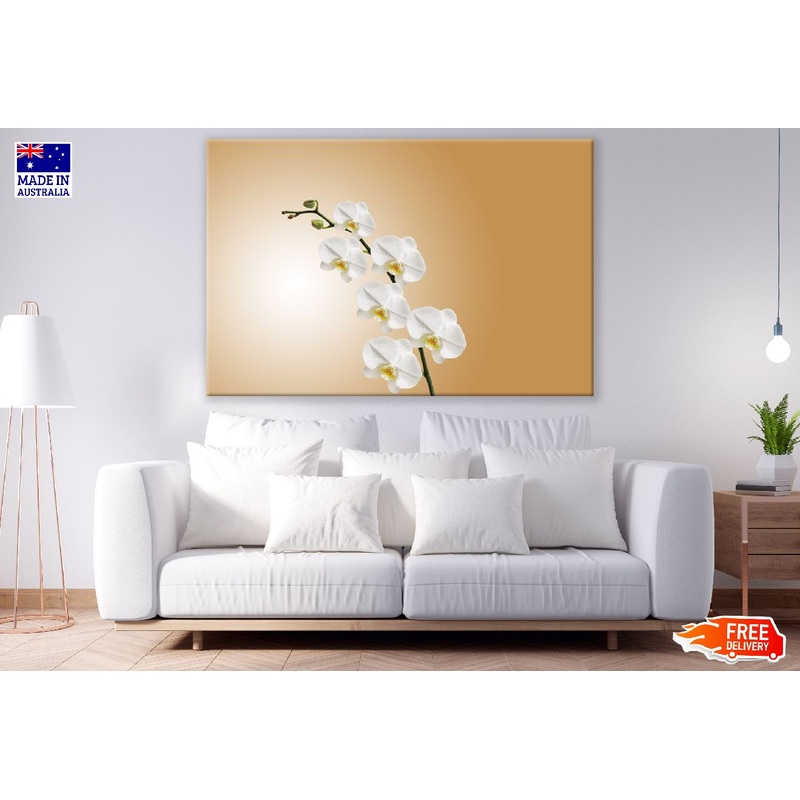 White Orchids Flowers Photograph Print 100% Australian Made