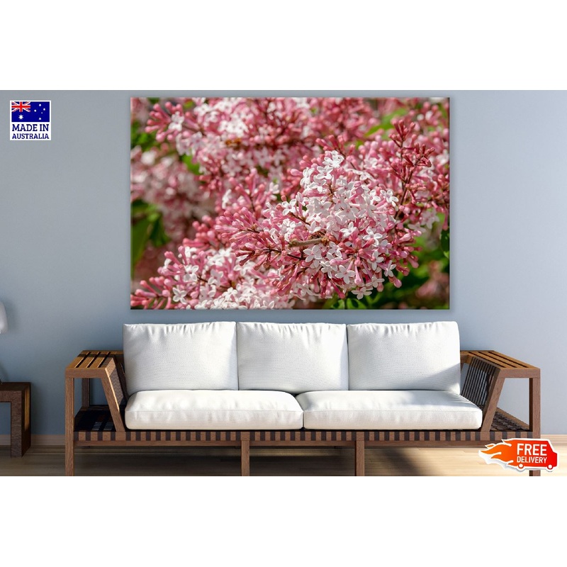 White & Pink Lilac Flowers Photograph Print 100% Australian Made