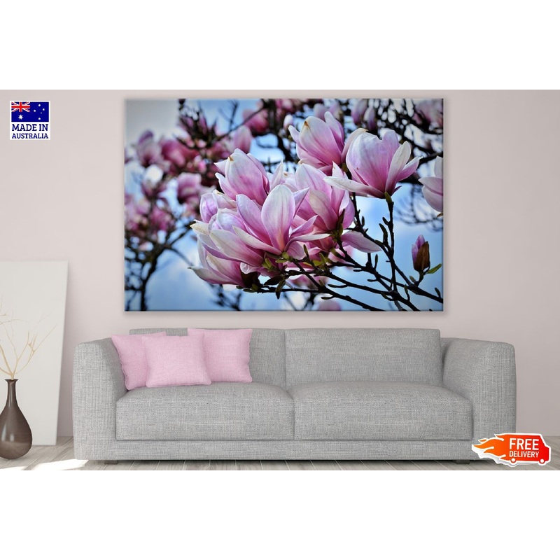 White Pink Magnolia Flowers Photograph Print 100% Australian Made