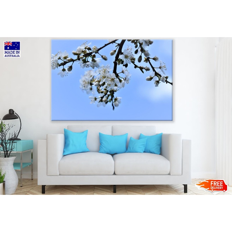 White Plum blossom Flowers & Buds Photograph Print 100% Australian Made