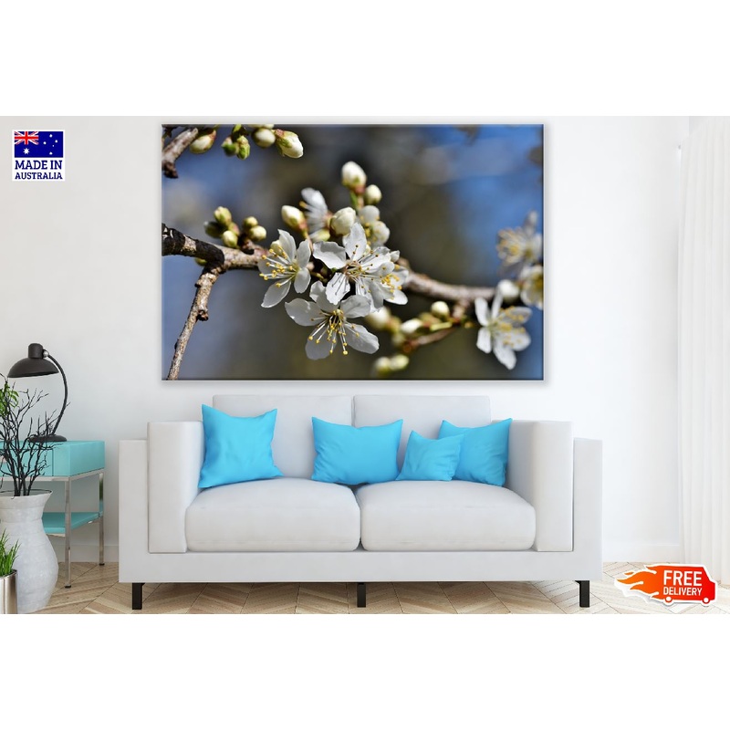 White Plum blossom Flowers with Branch Photograph Print 100% Australian Made