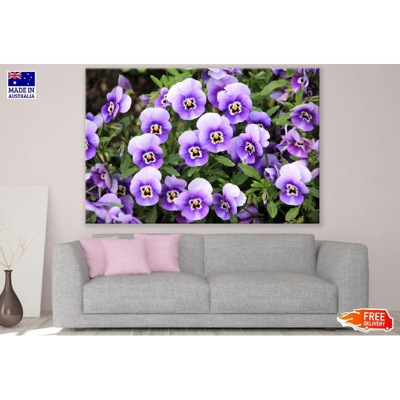 White Purple Pansy Flowers Photograph Print 100% Australian Made