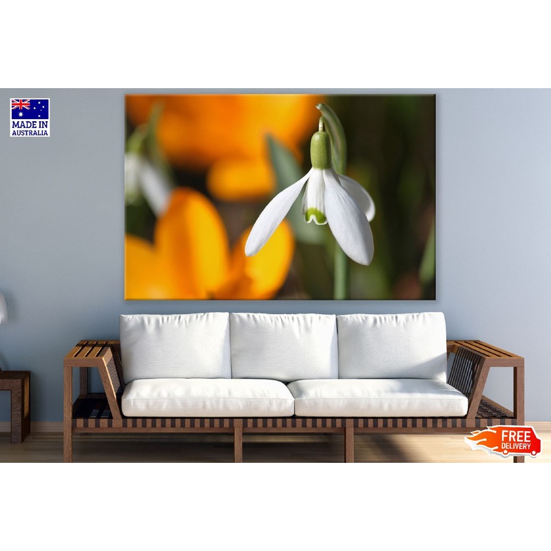 White Snowdrop Flower Closeup Photograph Print 100% Australian Made