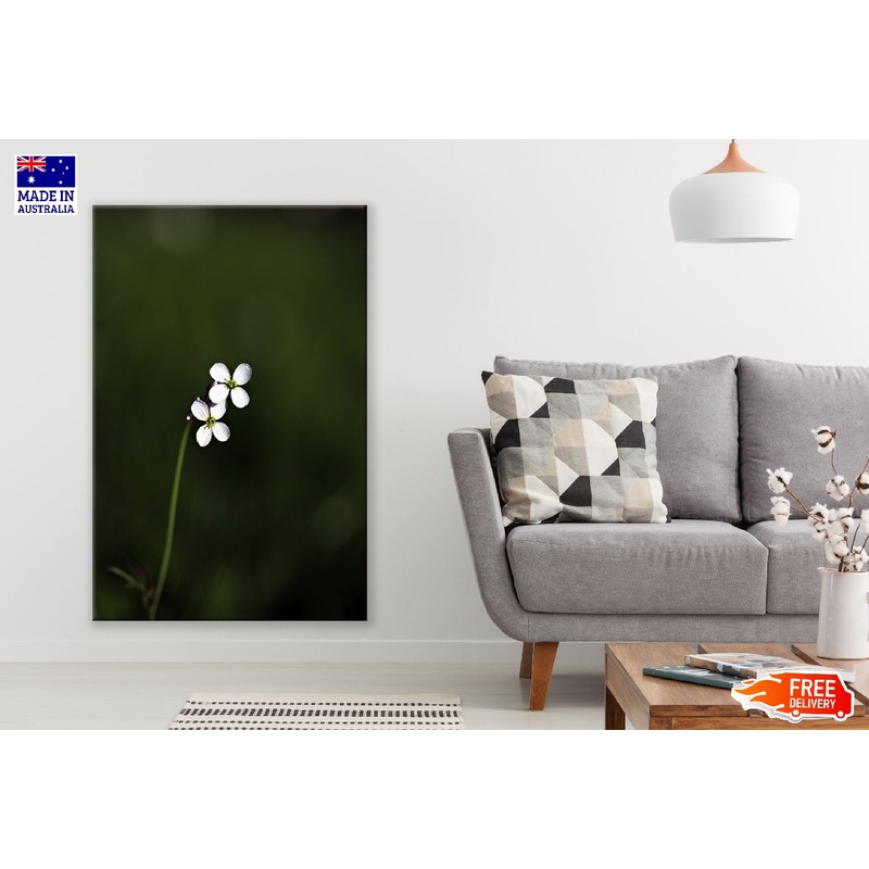 White Tiny Wildflowers Closeup Photograph Print 100% Australian Made