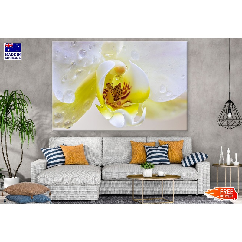 White Yellow Orchid Flowers Closeup Photograph Print 100% Australian Made