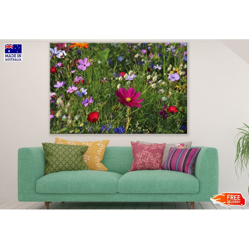 Wild Flowers Field Photograph Print 100% Australian Made