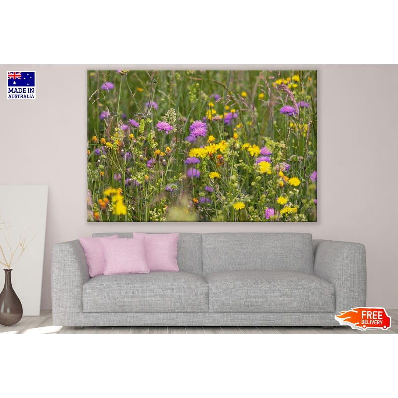 Wildflower Meadow Photograph Print 100% Australian Made