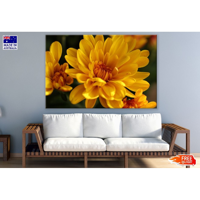 Yellow Chrysanthemum Flower Photograph Print 100% Australian Made