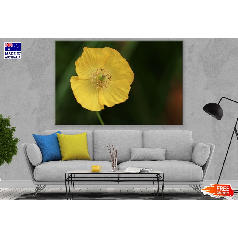 Yellow Poppy Flower Closeup Photograph Print 100% Australian Made