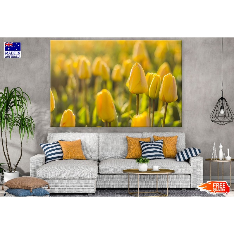 Yellow Tulip Flowers Photograph Print 100% Australian Made