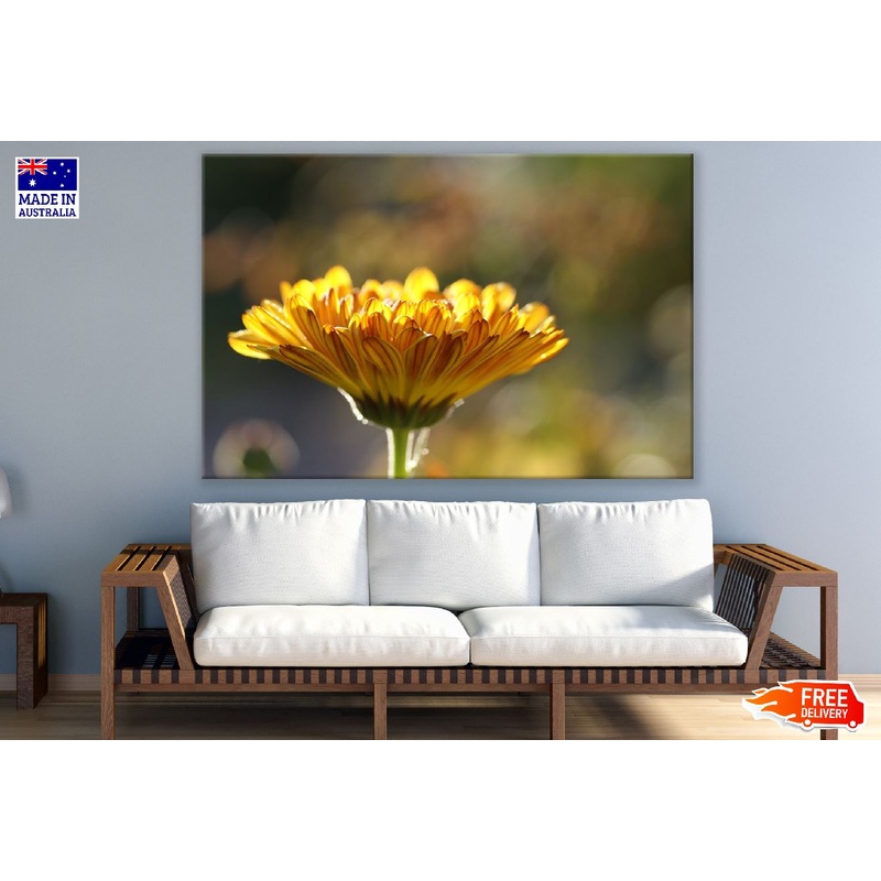 Yelow Marigold Flower Closeup Photograph Print 100% Australian Made