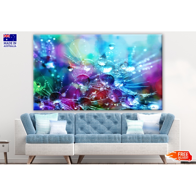 Water Drops on Dandelion Flowers Colourful Photograph Print 100% Australian Made