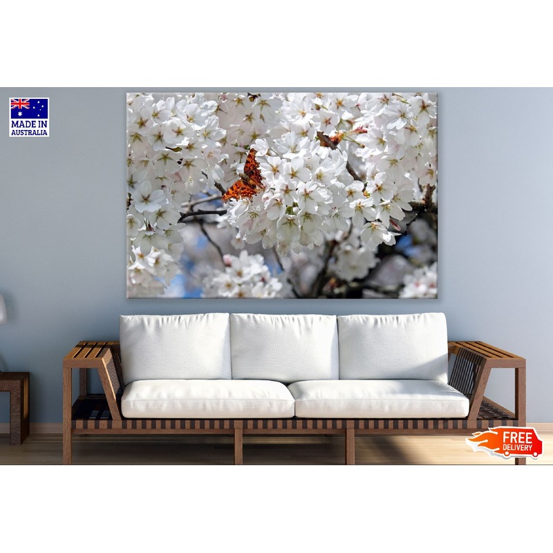 White Cherry Flowers & Butterfly Photograph Print 100% Australian Made