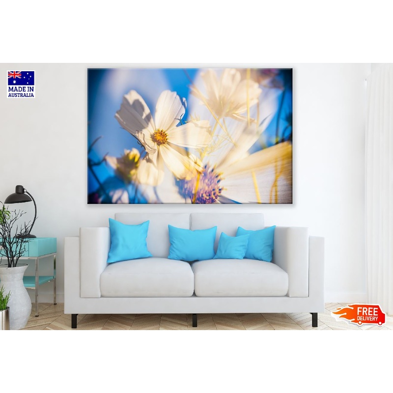 White Cosmea Flower Closeup Photograph Print 100% Australian Made