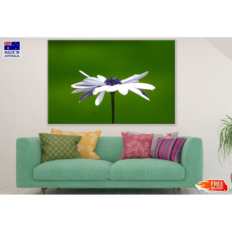 White Cosmos Flower Photograph Print 100% Australian Made