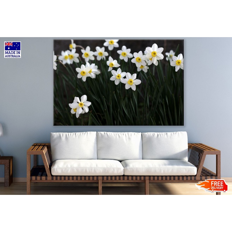 White Daffodil Flowers Photograph Print 100% Australian Made