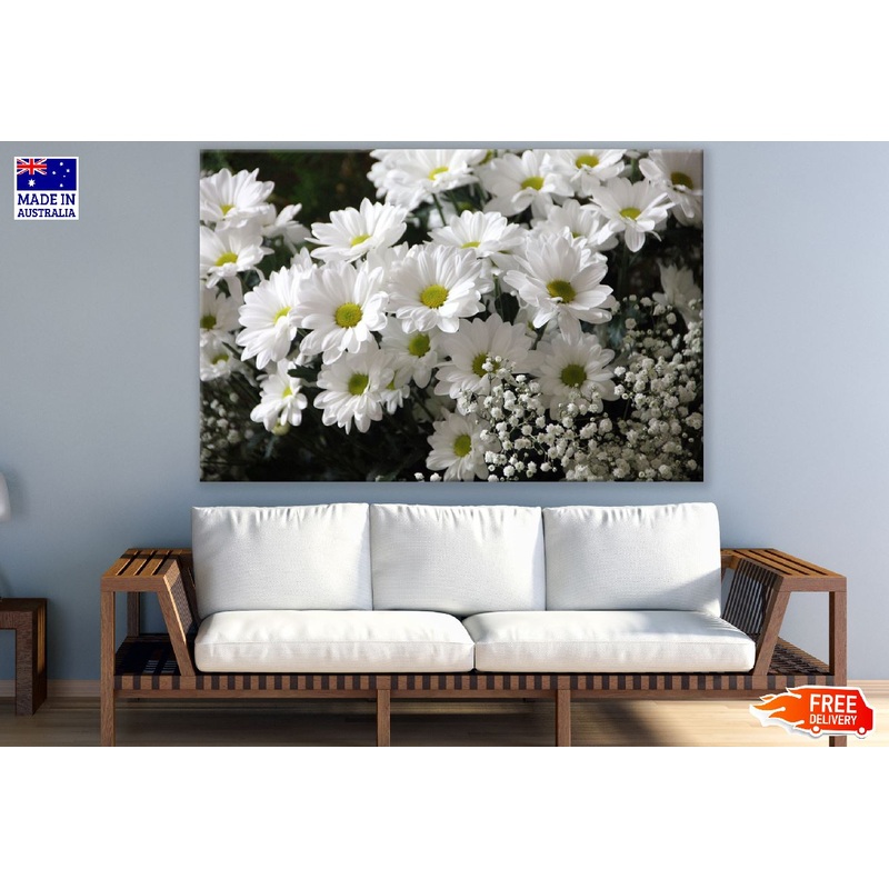 White Daisy Flowers Photograph Print 100% Australian Made