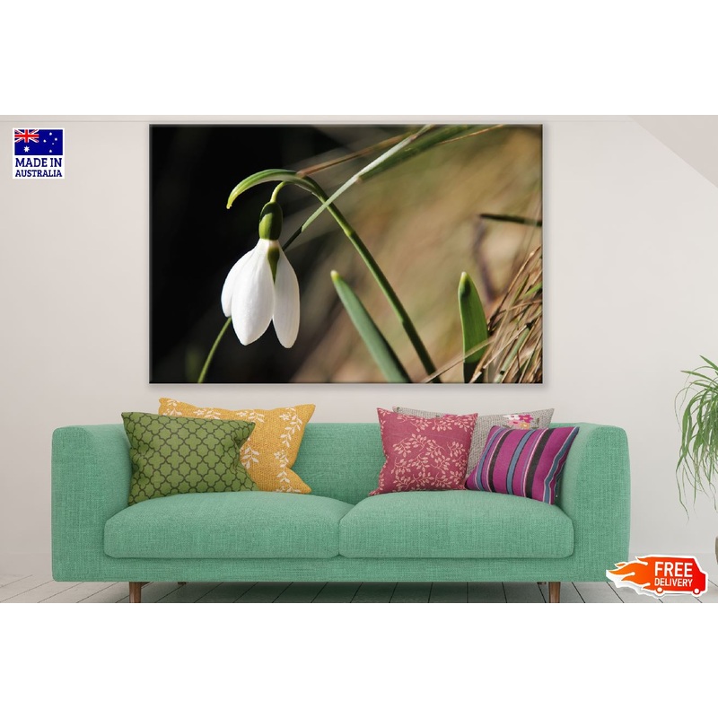White Early Spring Flower Photograph Print 100% Australian Made