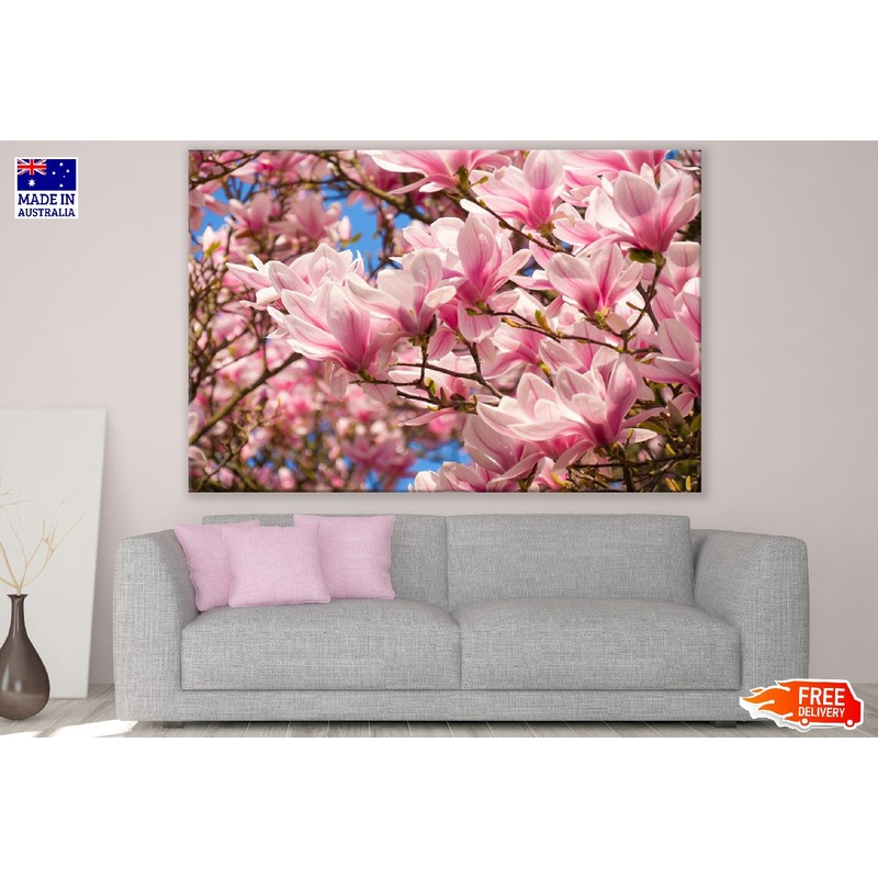 White Pink Magnolia Flowers with Branch Photograph Print 100% Australian Made