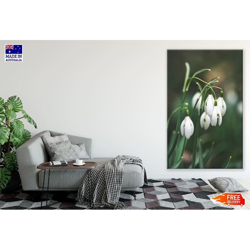 White Snowdrop Flowers Closeup Photograph Print 100% Australian Made