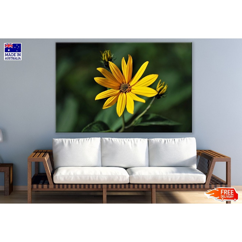 Woodland Sunflower Closeup Photograph Print 100% Australian Made