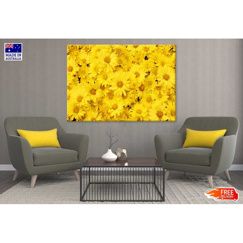 Yellow Daisy Flowers Photograph Print 100% Australian Made