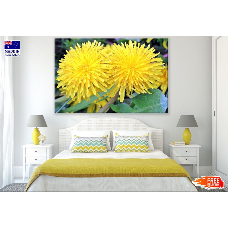 Yellow Dandelions Closeup Photograph Print 100% Australian Made