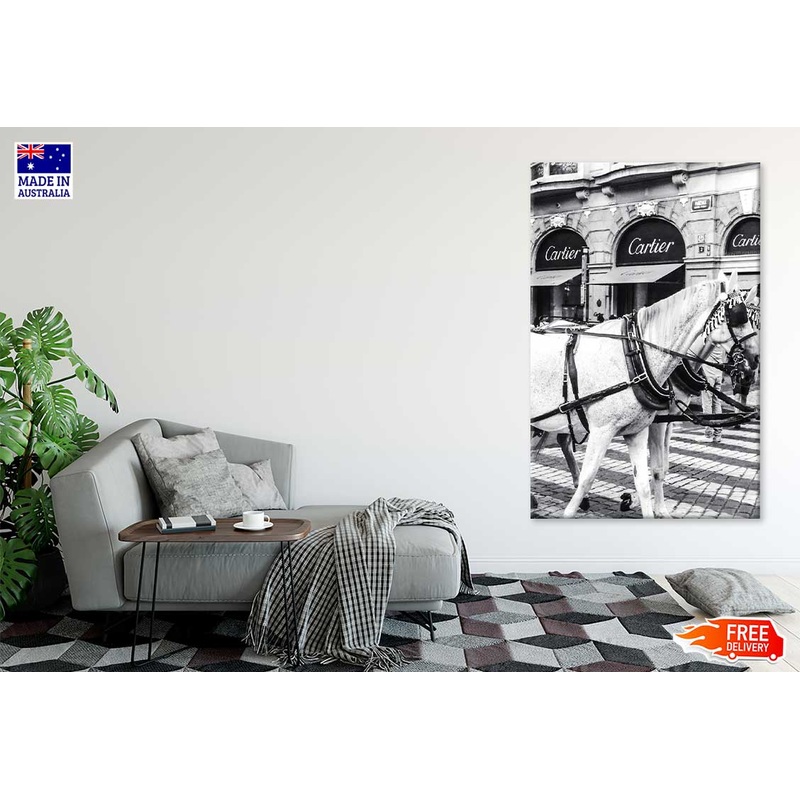 Bella Home Black And White Horse with Fashion Store Print Canvas Ready to hang