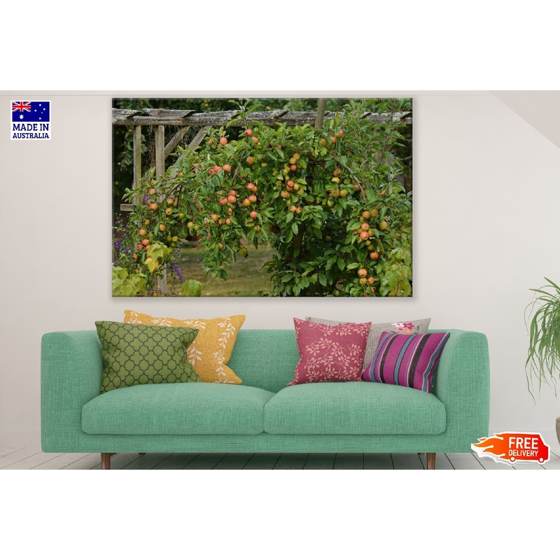 Apple Tree Photograph Print 100% Australian Made